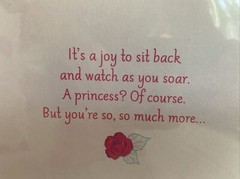Belle Snow White Tiana Princesses Disney Reusable Gift Bag + Birthday Card New