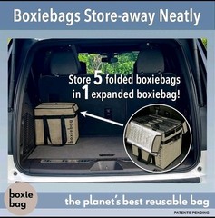 Reusable Grocery Bag (Single) – Durable Shopping Bag Box Insulated Foldable
