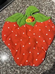 Strawberry Shortcake Decor Fabric Berry w/ Ladybug Handmade