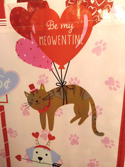 TWO Valentine’s Day Cats & Dogs Pugs & Kisses Reusable Tote Bags Size 14″x 14″