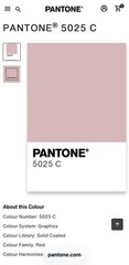 Trader Joe’s Striped Mini Canvas Tote Bag Petal Pink Summer 2026 Limited Release