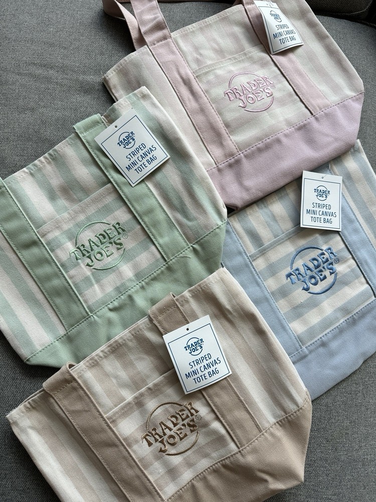 Trader Joe’s Small Striped Canvas Tote Bag Multicolor 12×12 in 6 in W New