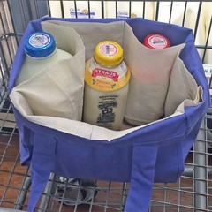 Simple Ecology Organic Cotton Deluxe Reusable Grocery Shopping Bag with Bottl…