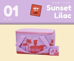 Trader Joe’s NEW Summer Mini Insulated Lunch Tote Bag Set of 2, NWT