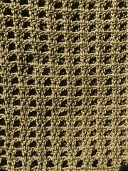 Green Mesh Tote Bag