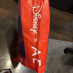 American Eagle Reusable Disney Shopping Bag
