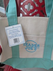 TRADER JOE’S ~ Mini Pastel Canvas Tote Bag { GREEN }
