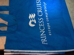 2 Reusable Bags with Handles 1 New reBag & 1 Used Princess Cruises 13″ tall x 8″