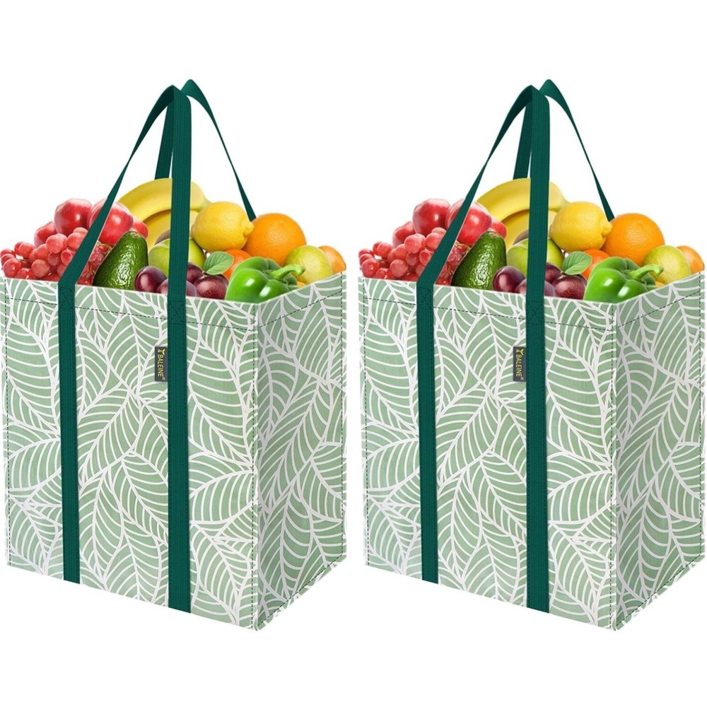 Reusable Grocery Bags 2 Pack Heavy Duty Foldable Tote Antique Folidage