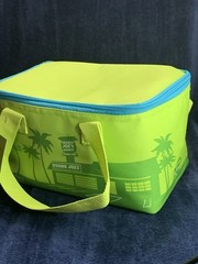 Trader Joe’s Newly Released Insulated Mini Tote Bag.