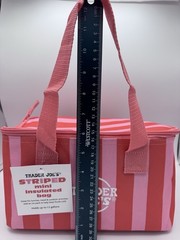 HOT PINK STRIPES Trader Joe’s, Mini Cooler, Bag, Pink Stripes NWT THE CUTEST?