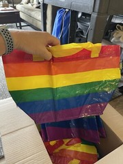 Qty 2 x IKEA 10.75” Rainbow STORSTOMMA KVANTING Book Bag Shopping Beach Pride 🌈