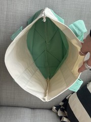 BRAND NEW Trader Joe’s Canvas Foldable Mini Tote Bag Mint Green Light Blue