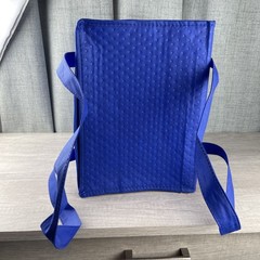 Jenny Craig Insulated Cooler Bag Double Handles Front Pocket Retired DBL Zipper