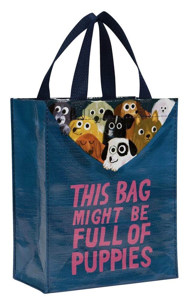 Handy Tote Reusable Lunch Sack Gift Bag Sturdy 10×8.5×4.5 Inch Washable