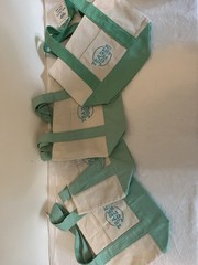 NEW Lot 4 Trader Joe’s mini canvas tote bags spring 2025 mint green NWT
