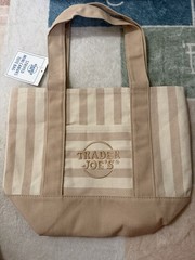 Trader Joe’s Striped Mini Canvas Tote Bag Reusable Shopping Tote, Green Beige