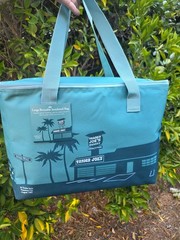 ⚡️ Trader Joe’s teal Tote Insulated Freezer Cooler Bag ❤️