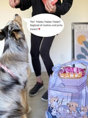 Medium Foldable Tote Nylon Reusable Grocery Bag (Set of 2), Dogs Rule