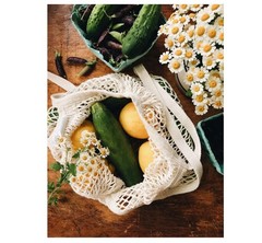 Lemonfilter Mesh Grocery Bags, 5 Pack Large, beige+rosewood+green+gray blue