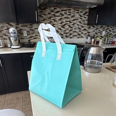 100 Pack Tiffany Blue Insulated Take Out Bags for hot&cold,Thermal Delivery Bags