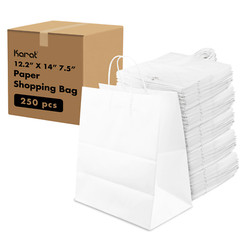 Karat Malibu Paper Shopping Bag with Twisted Handles, White – 250 pcs, FP-SB120W