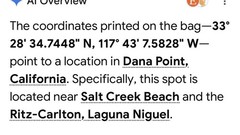 Jute Tote Bag Leather Handles Dana Point CA Coordinates Beach Market Tote