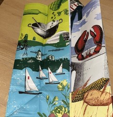 Trader Joe’s Boston Polypropylene Foldable Reusable Shopping Bag