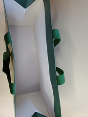 Cardboard Tote Shopping Bag Bamboo Cones 6x13x16″ Green Canvas 6.5″ Strap Drop