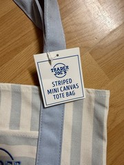 Trader Joe’s Mini Pastel Blue Stripe Canvas Tote Bag