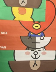 LINE FRIENDS BT21 Tata Van, BROWN CONY SALLY set of 6 reusable Bags large medium