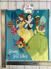 Belle Snow White Tiana Princesses Disney Reusable Tote Gift Bag Licensed New Kid