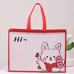 Water-Resistant Non-Woven Shopping Bag Reusable Foldable Large Capacity Durable