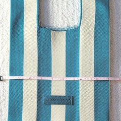 Colorescience Blue & Beige Striped Reusable Tote Shopping Bag 16in x 9in