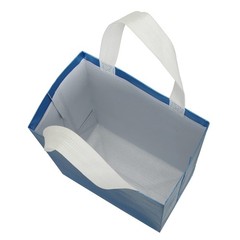 40 Pack Glossy Reusable Grocery Bags, 10 x 8 Inch Shopping Tote Bag with Hand…