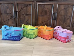 1 Trader Joe’s 2026 Mini Insulated Tote Summer Fun Ltd Ed Pink Orange Blue Green