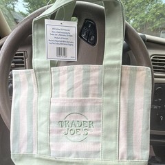 Trader Joe’s Striped Mini Canvas Tote Bag Green/White Reusable Machine Wash