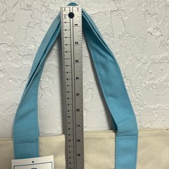 Trader Joe’s Blue and Cream Spring Pastel Canvas Mini Tote Bag