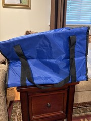 2 Blue Insulated bags with handles