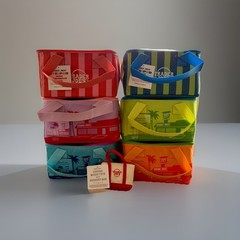 NWT Trader Joe’s Mini Insulated Cooler Bags Full Set of 6 + Micro Tote Sold Out!