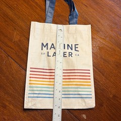 Marine Layer Reusable Tote Plastic Shopping Gift Bag SF CA 9″x12″