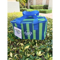 Trader Joe 2026 mini insulated bags New Summer Colors Blue and Green Stripes
