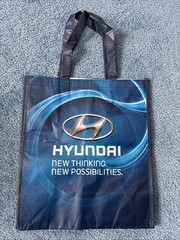 Durable Reusable Storage/shopping Bag Hyundai Design Novelty Unique Souvenir