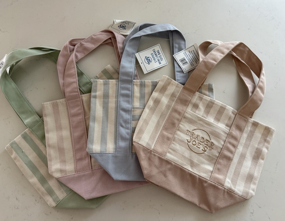Trader Joe’s Reusable Striped Multicolor Medium Mini Tote Bag 13x12x14 in