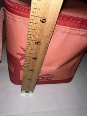 AUTHENTIC Trader Joe’s Mini Insulated Bag Peach/Orange Limited Edition 2025