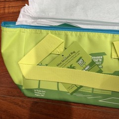 Trader Joe’s Summer Fun Lime Green Mini Insulated Tote Bags