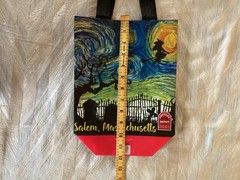 Salem Massachusetts Reusable Vinyl Shopping Brand New 9×12
