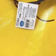 Pokémon Pikachu Zippered Reusable Shopping Bag Kids Nintendo Japanese