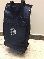 NWOT Grocery Bag Travel Storage Collapsible Puller Trolley Wheel Portable Cart