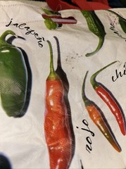 20×13 Earthwise Pepper Food Multicolor Reusable Shopping Bag